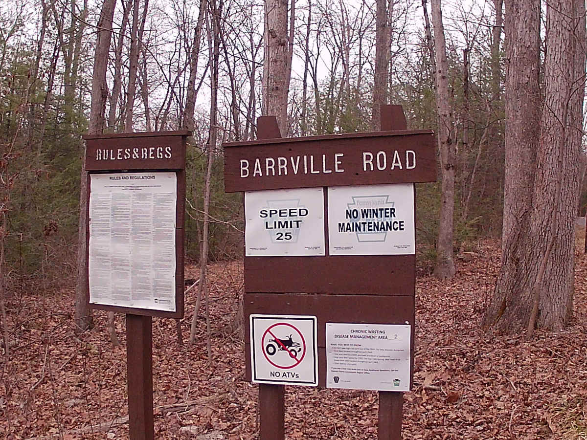Barrville Road trail photo