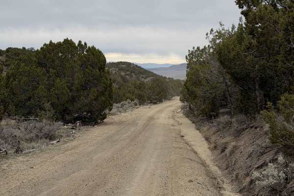 Shepherd Road