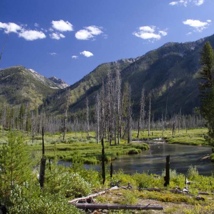 Near South Fork of the Payette, Grandjean to Taylor Springs