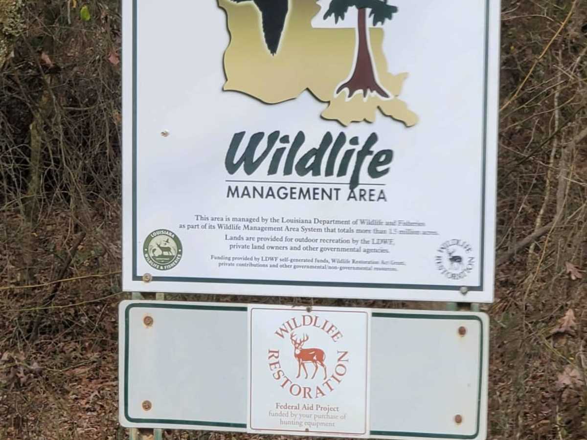 Enter Bodcau Wildlife Management Area photo 5