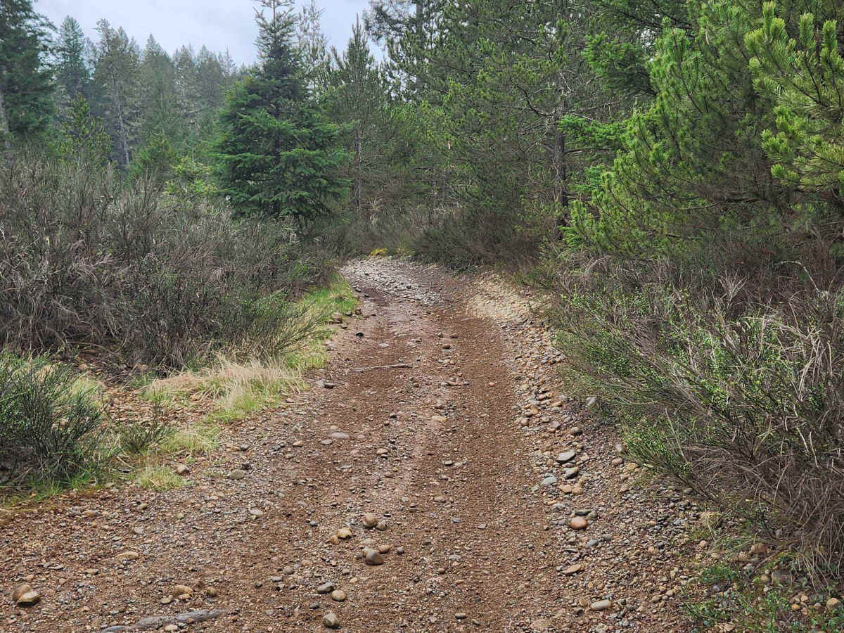 Overland Trail photo 2