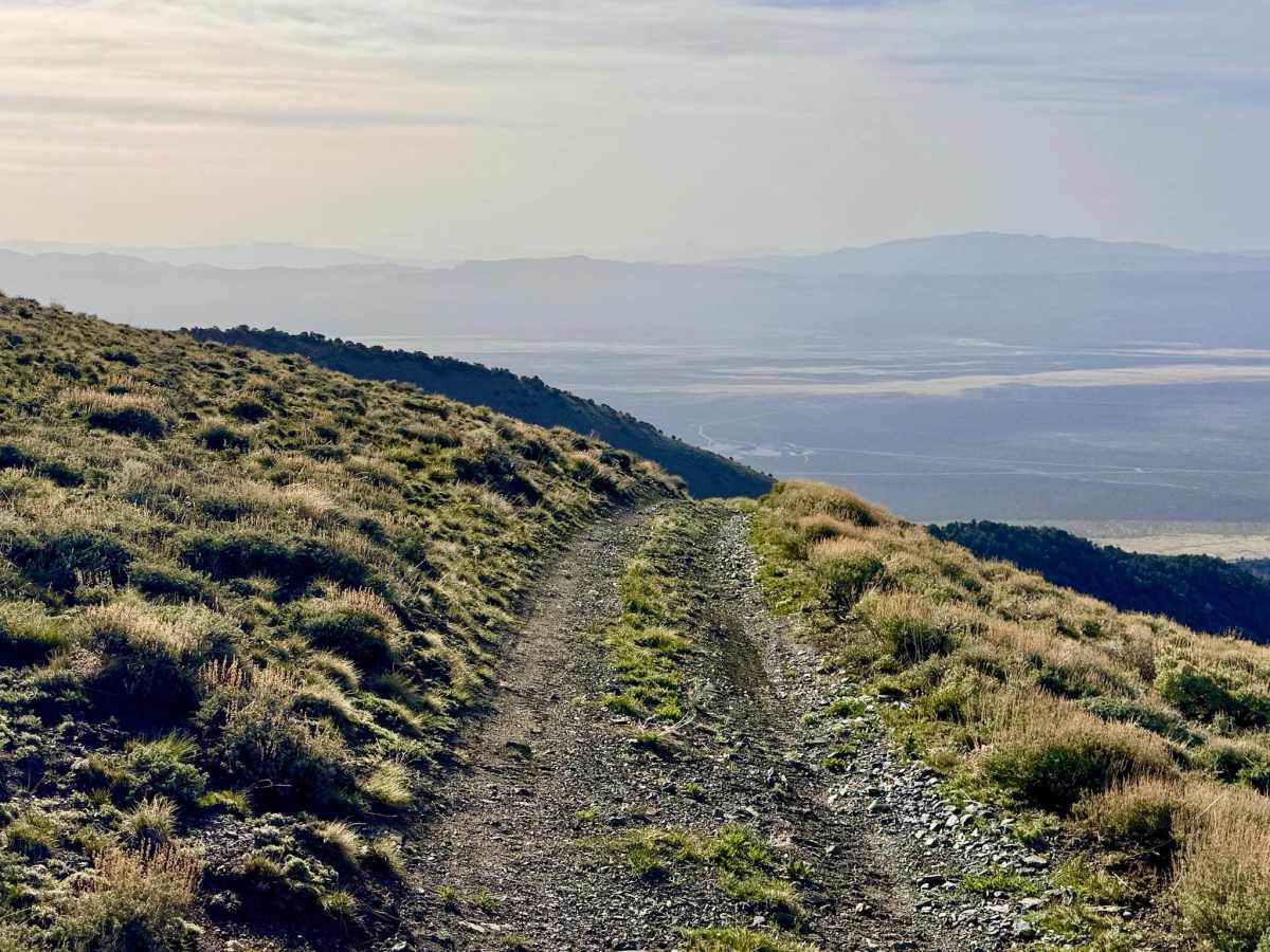 Veatch Canyon Road - FS 43233 photo 4