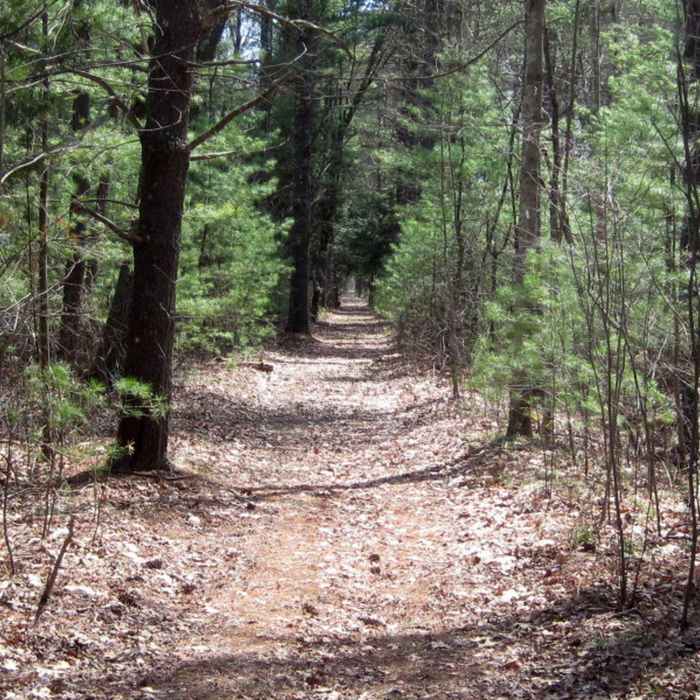 Nashua River Trail Near Nashua River Loop
