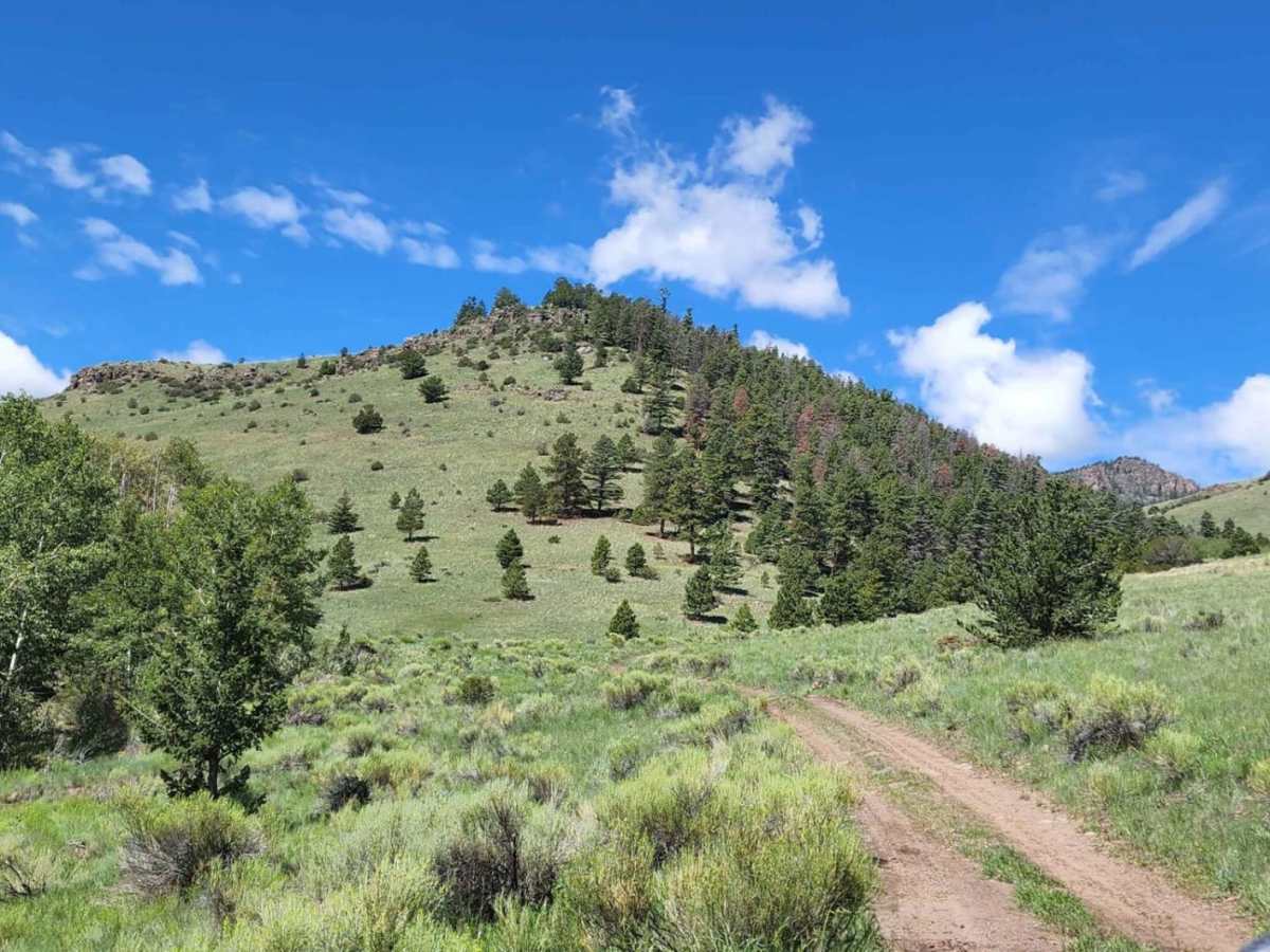 Old Woman Creek photo 6
