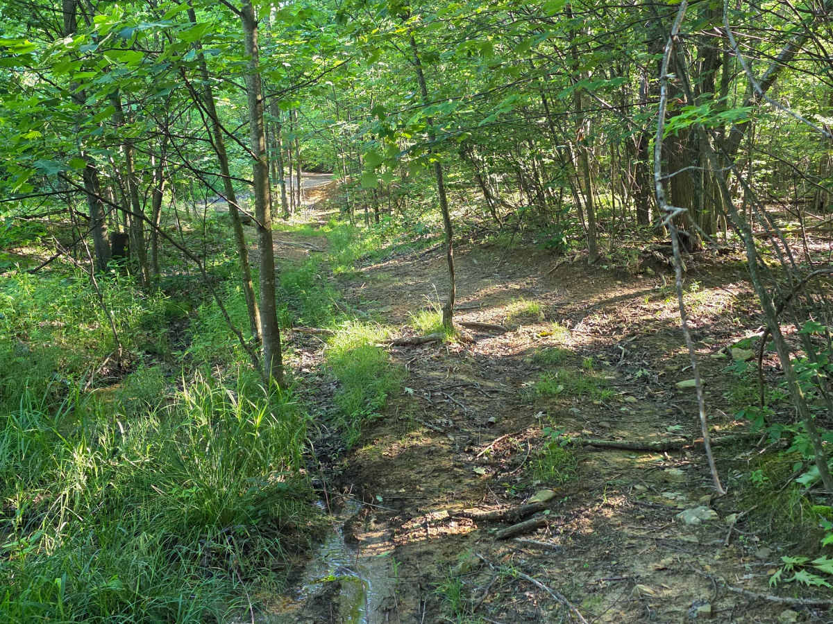 Single Track C5 photo 4