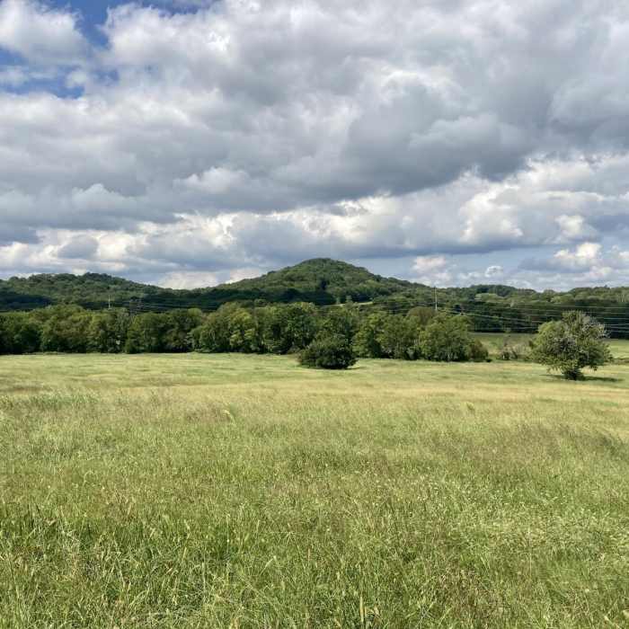 Near Black, Blue, Green, and Red Trails