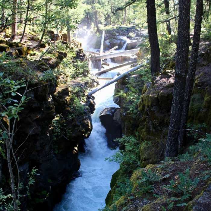 Near Rogue Gorge Trail #1034A