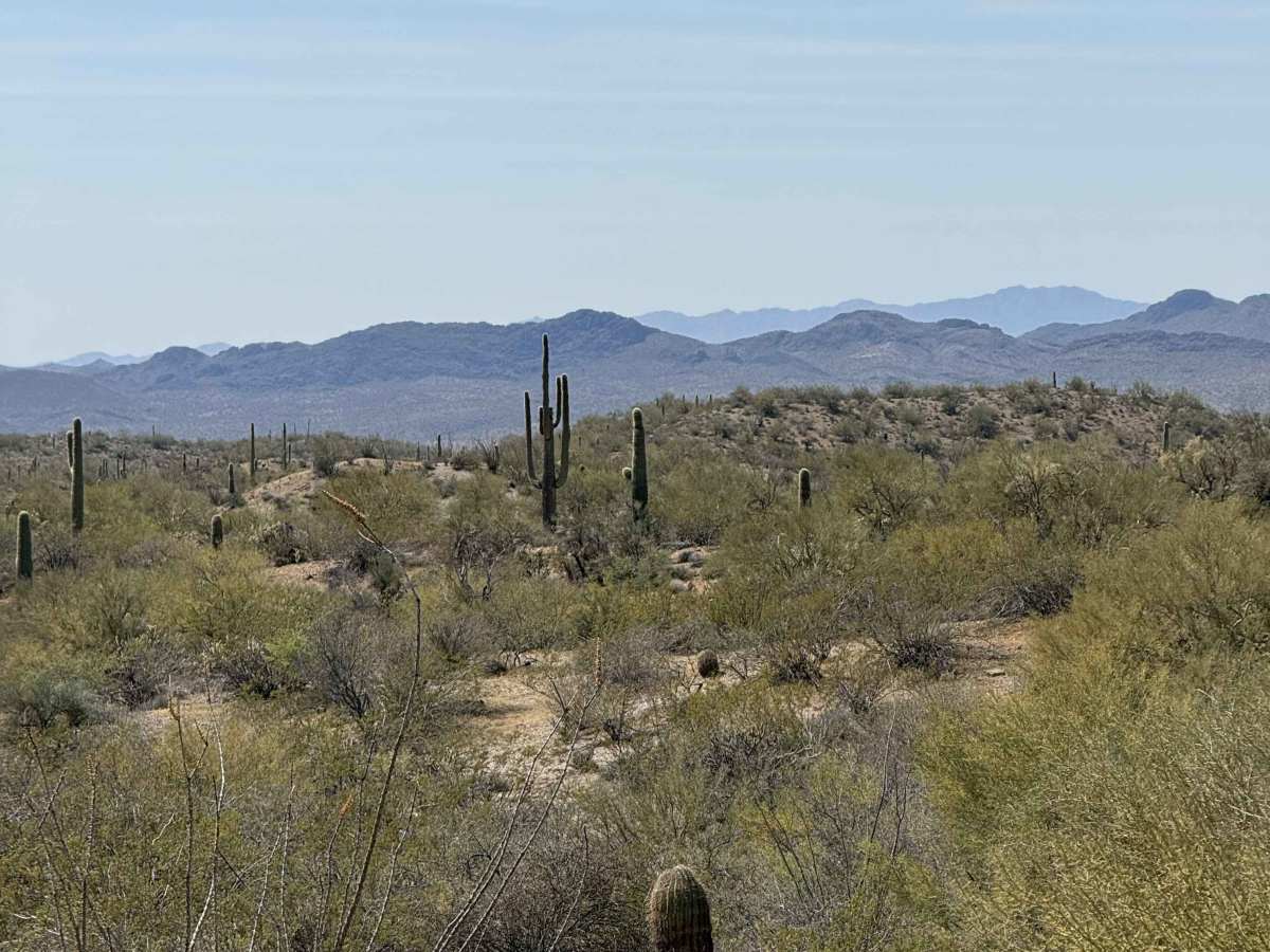 Old Stage Road trail photo