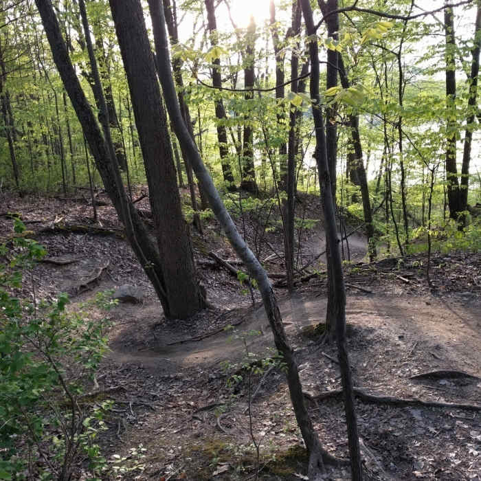 Near Mountain Bike Trail