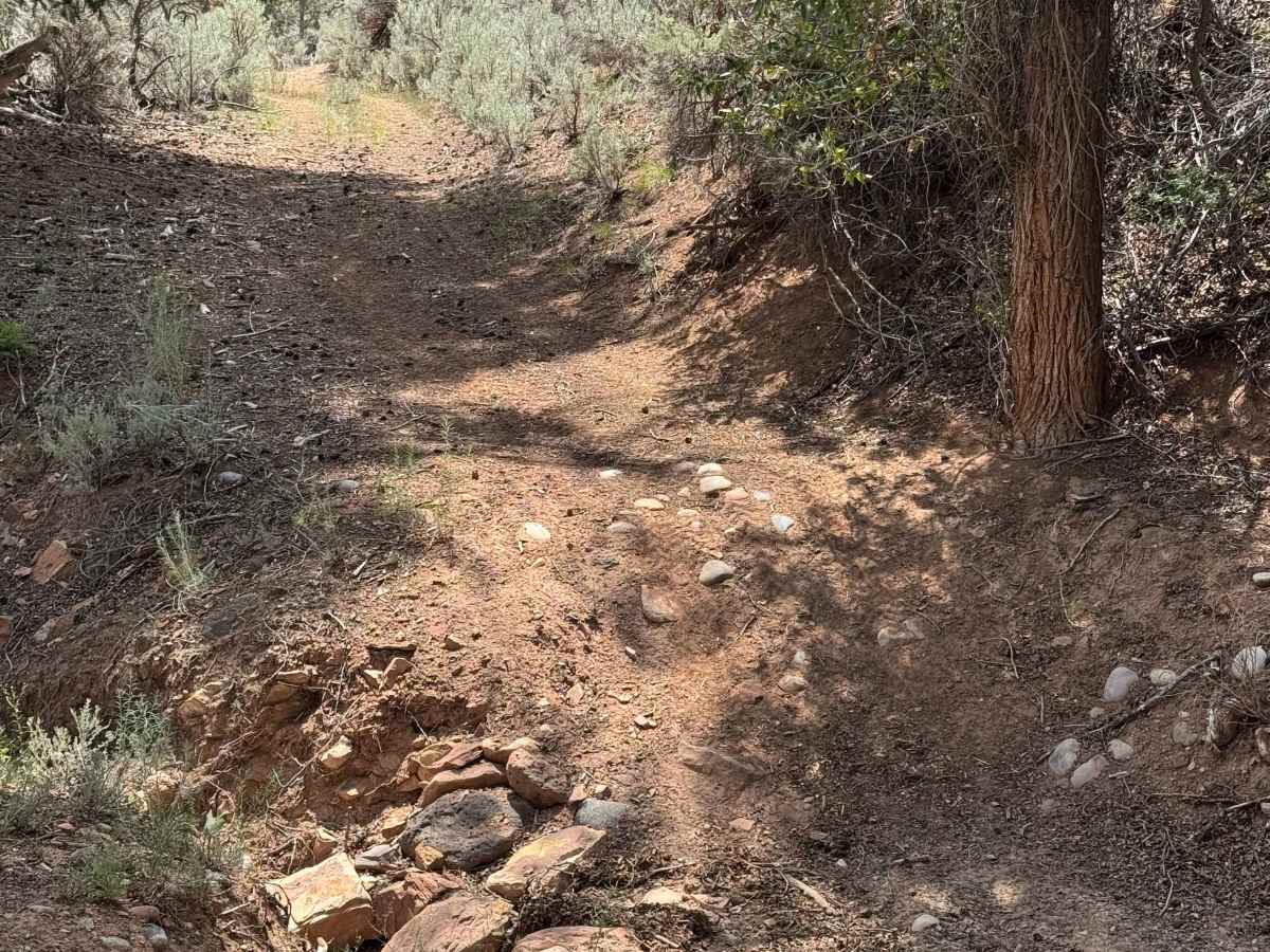BLM 8457B photo 2
