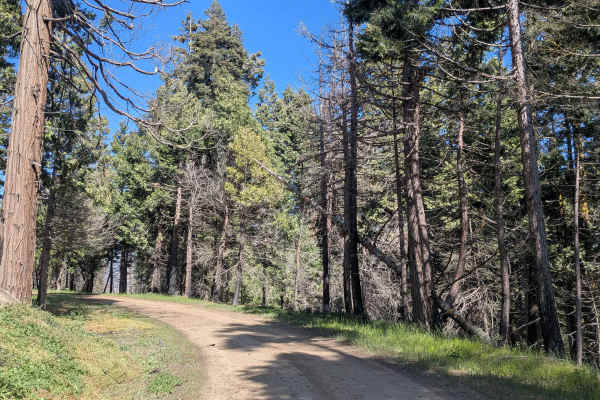 Rancheria Spur - FS 25S15C