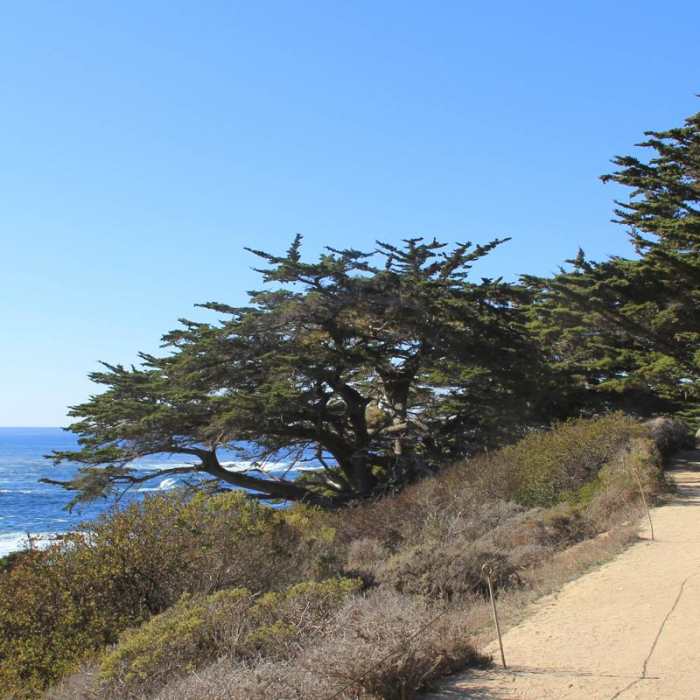 Near Cypress Grove Trail Near Cypress Grove Trail