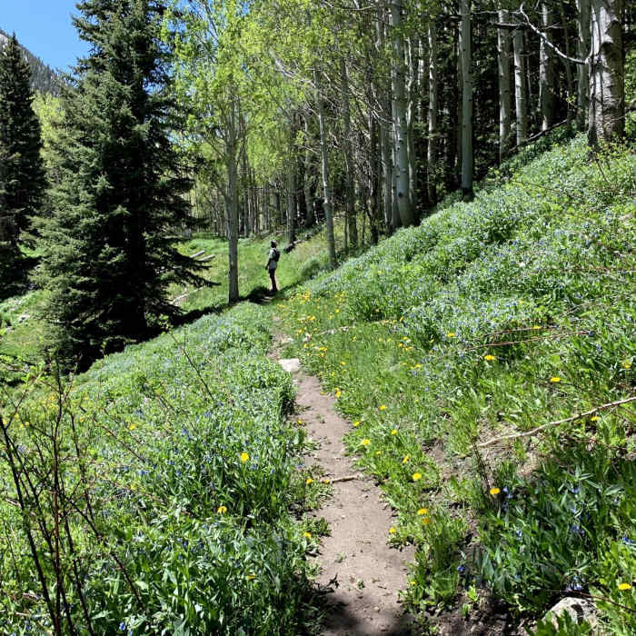 Near Baker Lake Via Baker Creek