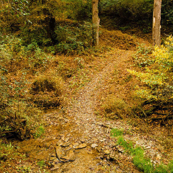 Small Water Crossing Near Trexler Border Trail