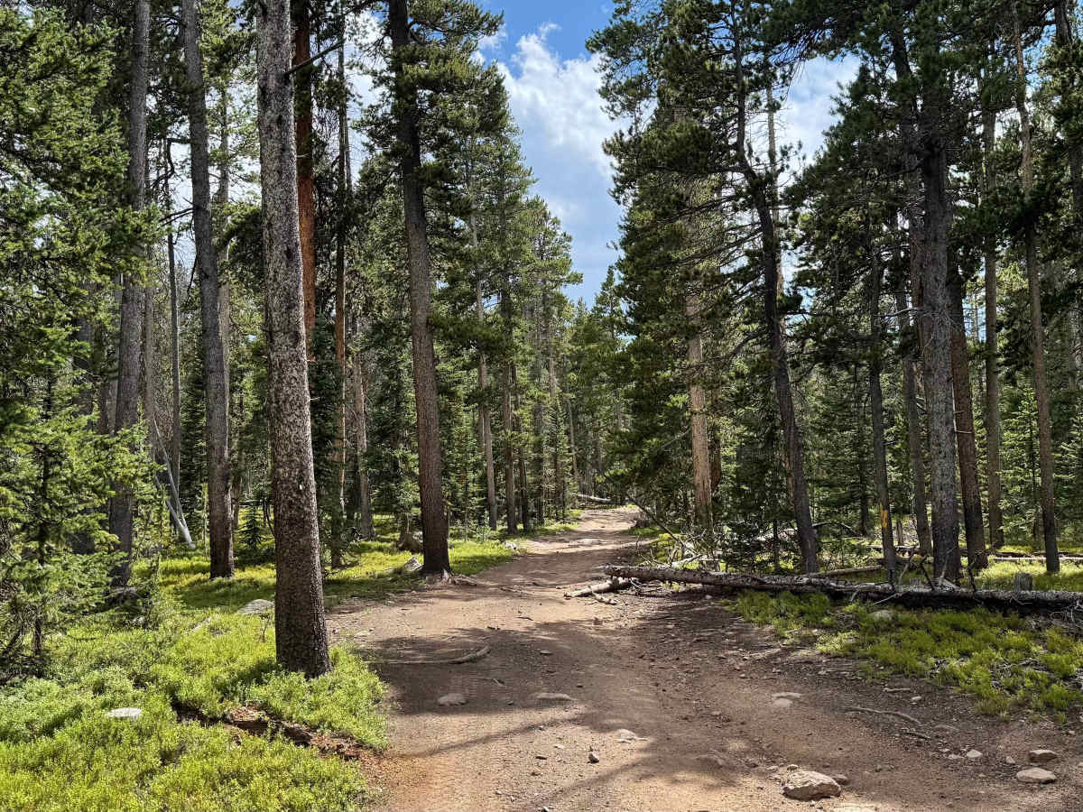 Nunn Creek Cutoff Road photo 6