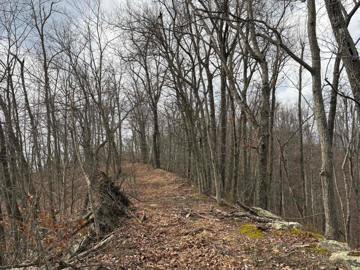 Trail 2 photo 5