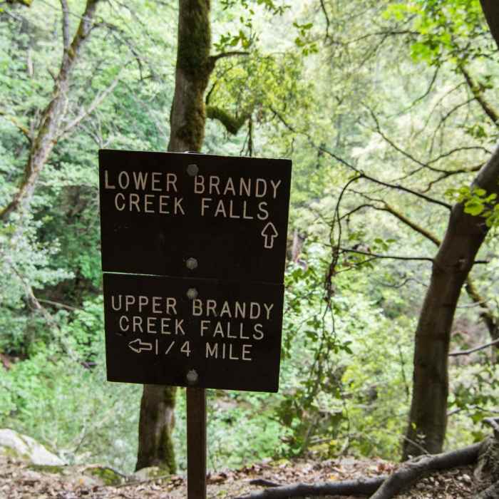 Near Brandy Creek Falls