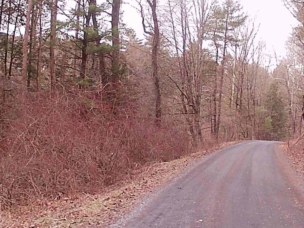 Treaster Kettle road photo 4