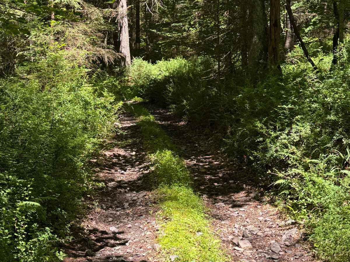 Button Connector Trail photo 3