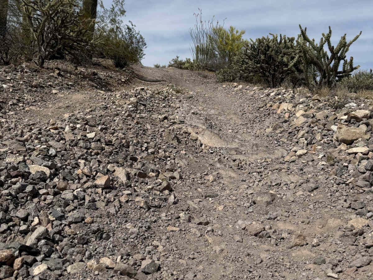 9231D trail photo