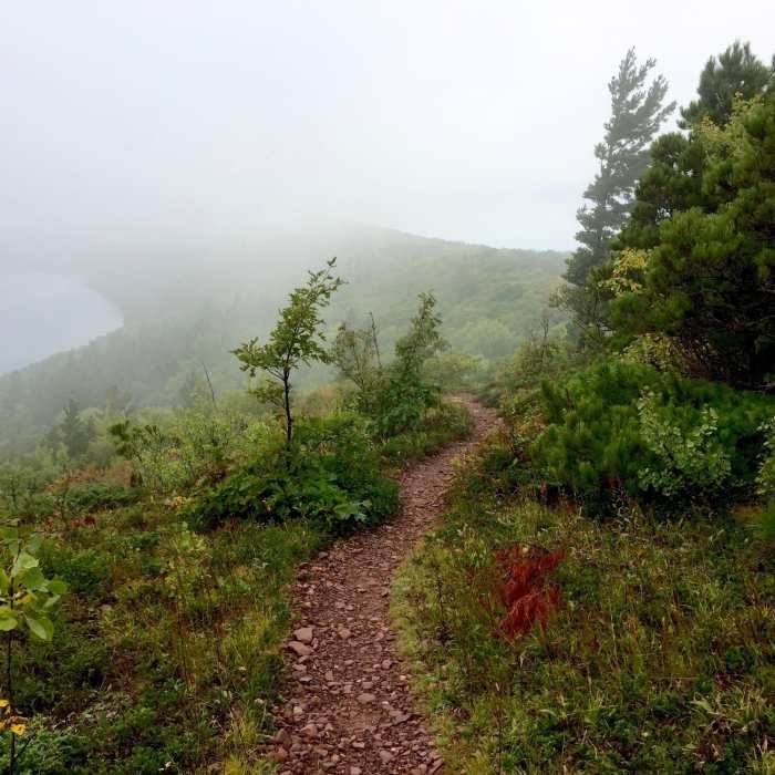 Near Escarpment Trail