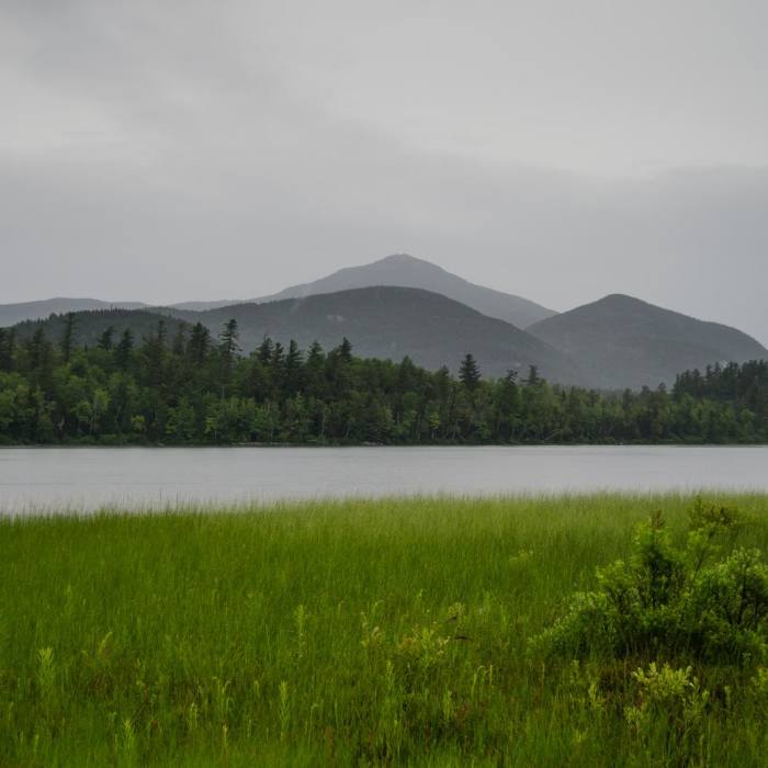 Near Connery Pond Near Connery Pond