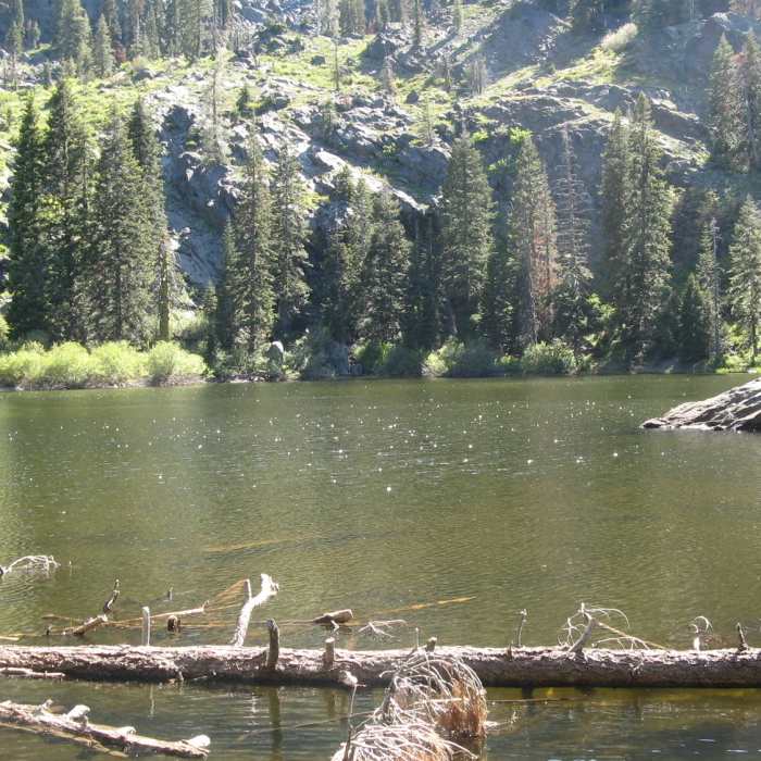 Near Black Rock Lake Trail