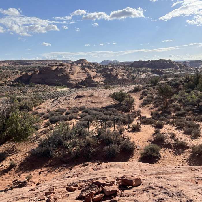 Near Upper Dry Fork Loop