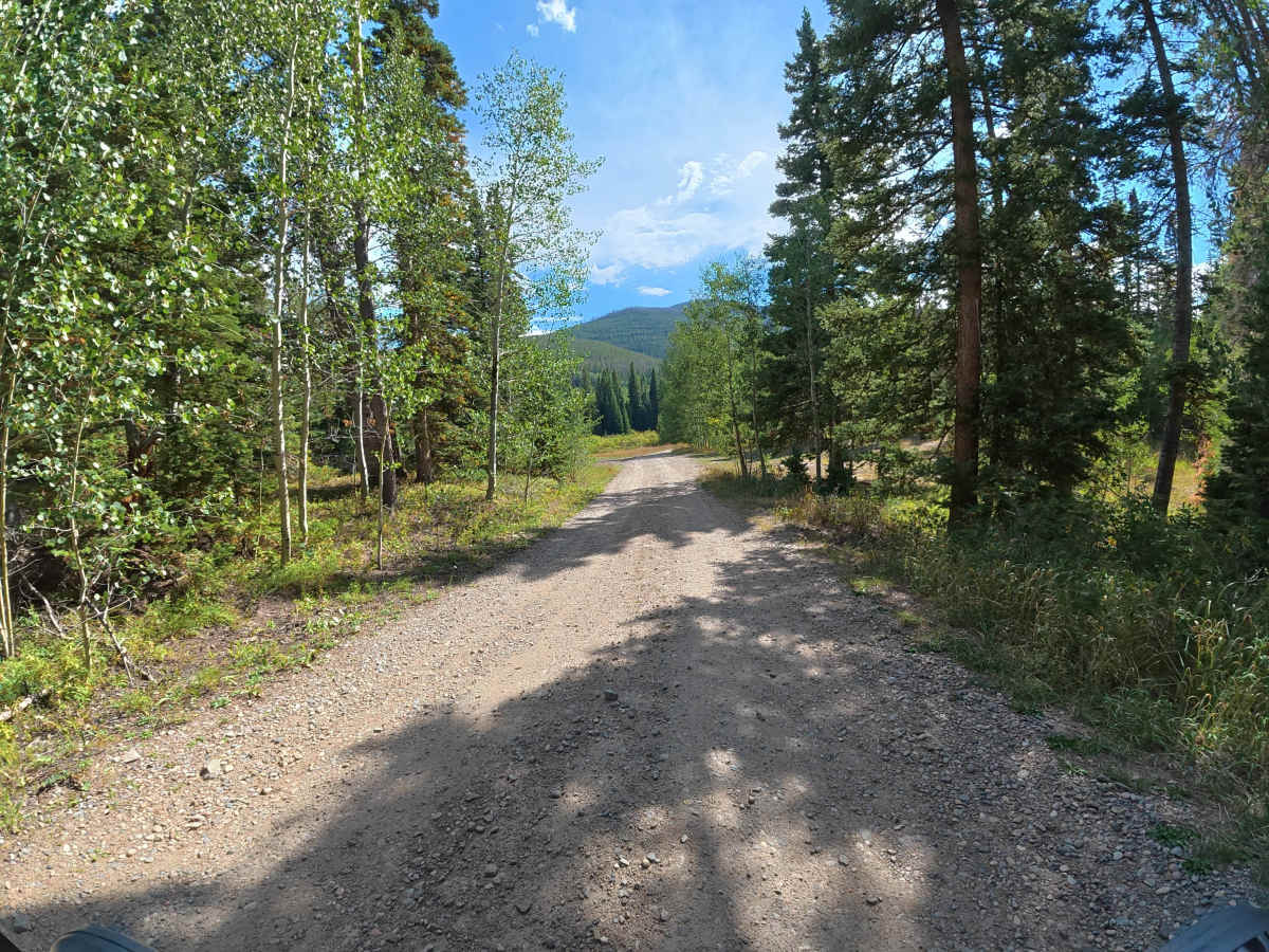 Spruce Creek Road trail photo