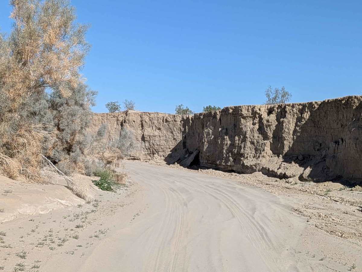 BLM 081 photo 6
