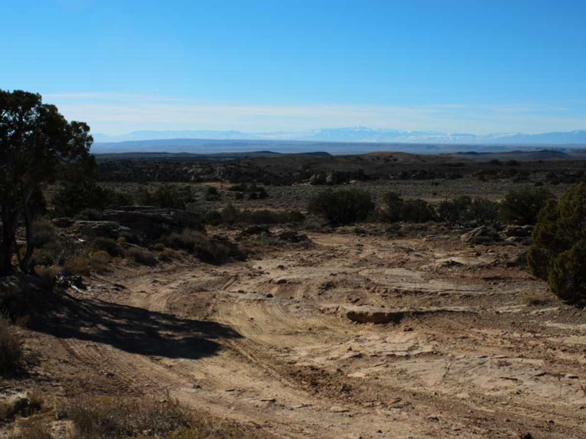 Petroglyphs Canyon Natural Area photo 2