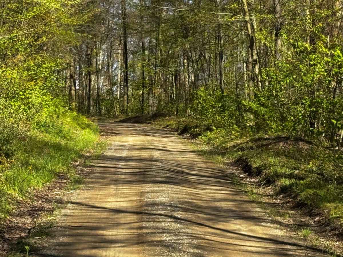 Colby Road photo 6