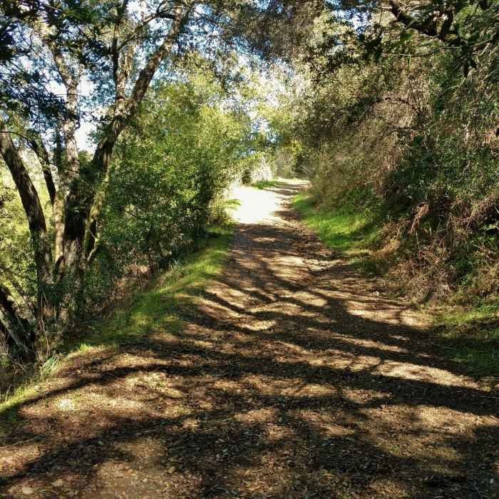 Near Priest Rock Trail