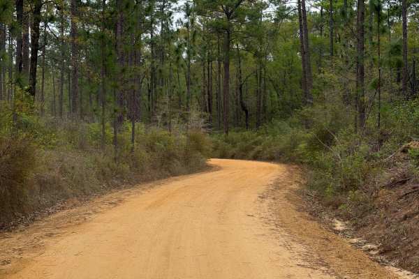Simmons Road