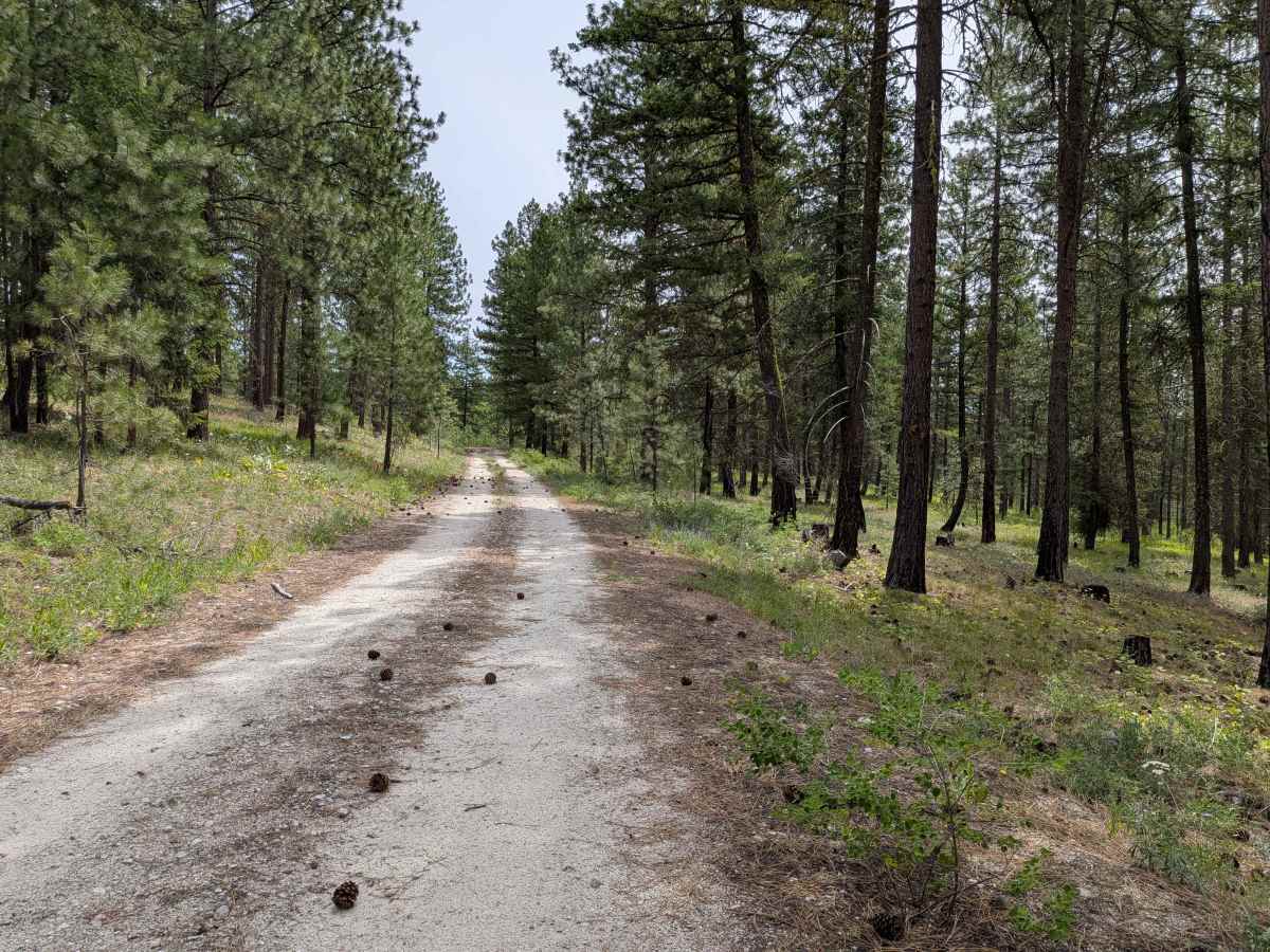 FS 4100-195 trail photo