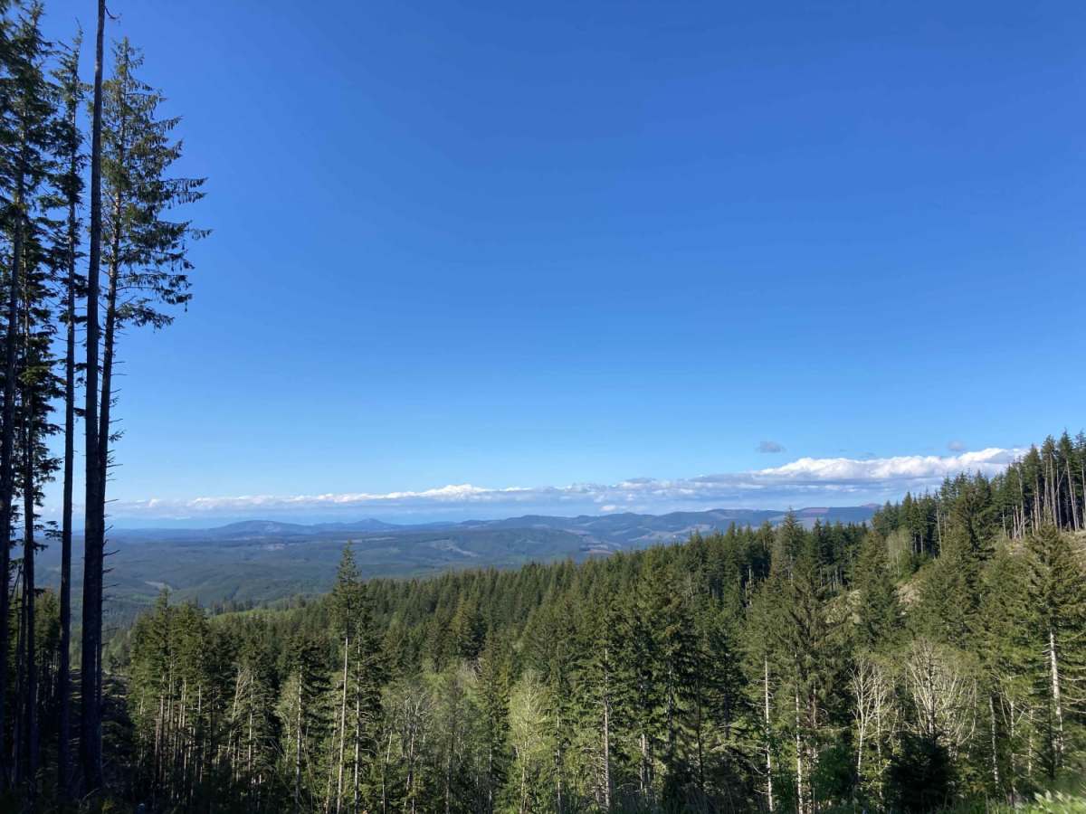 Willapa Hills photo 2