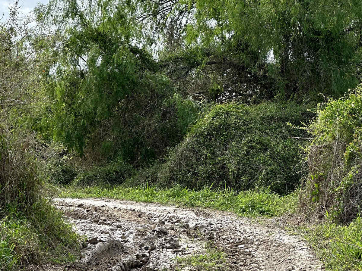 Mud to Sand Hills photo 5