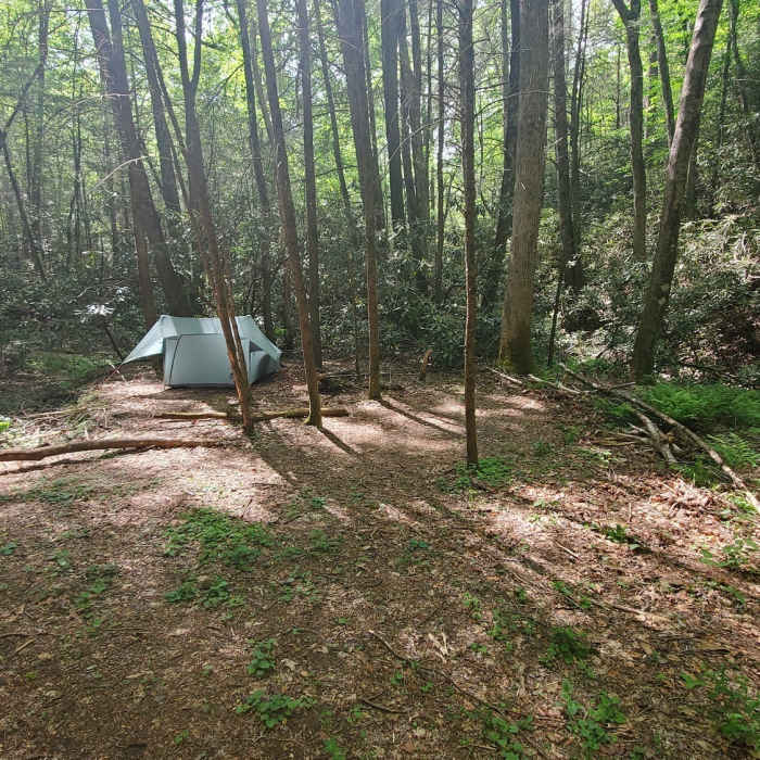 Near Pinhoti Trail: Section 31