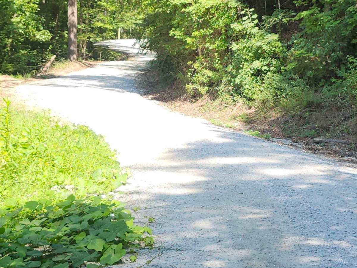 Tugalo Lake Trail photo 2