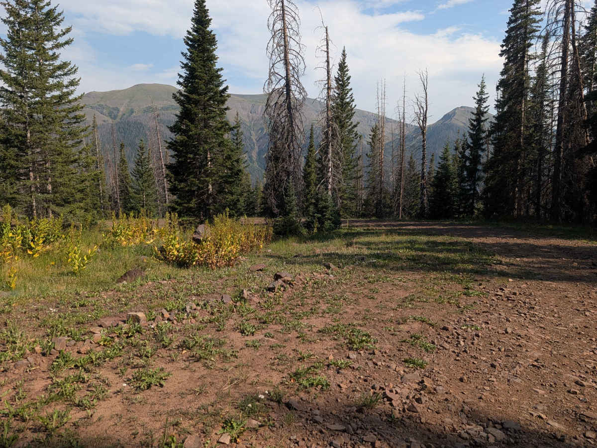 Rito Gato Road - FS 245 photo 4