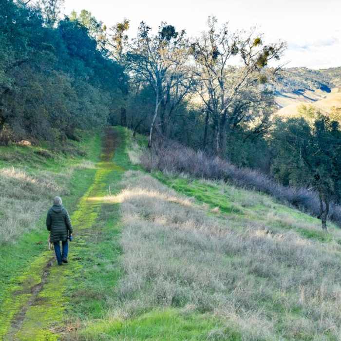 Near Heron Point Loop Hike
