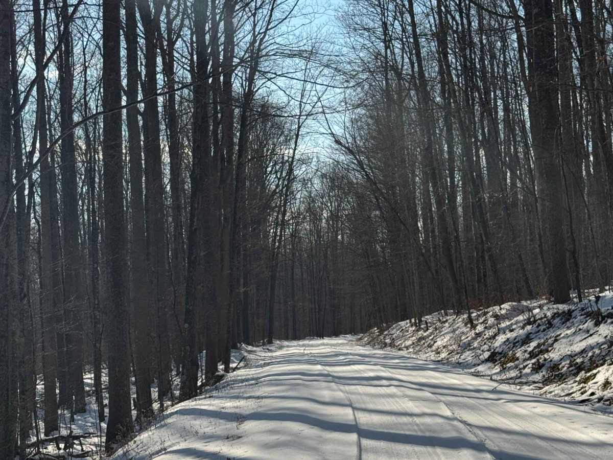 Cabbage Hollow Road photo 5