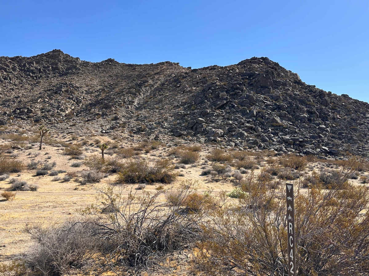 Coyote Flats photo 2