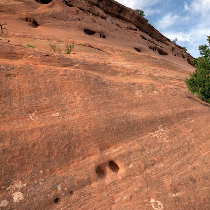 Near Alcove Nature Trail