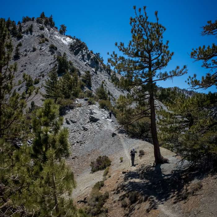 Near Dawson Peak Trail #8W32