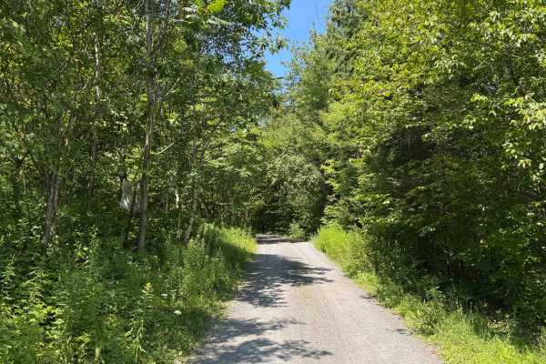 Burnt Hill Road