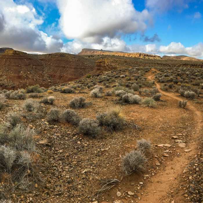 Near Rim Ramble