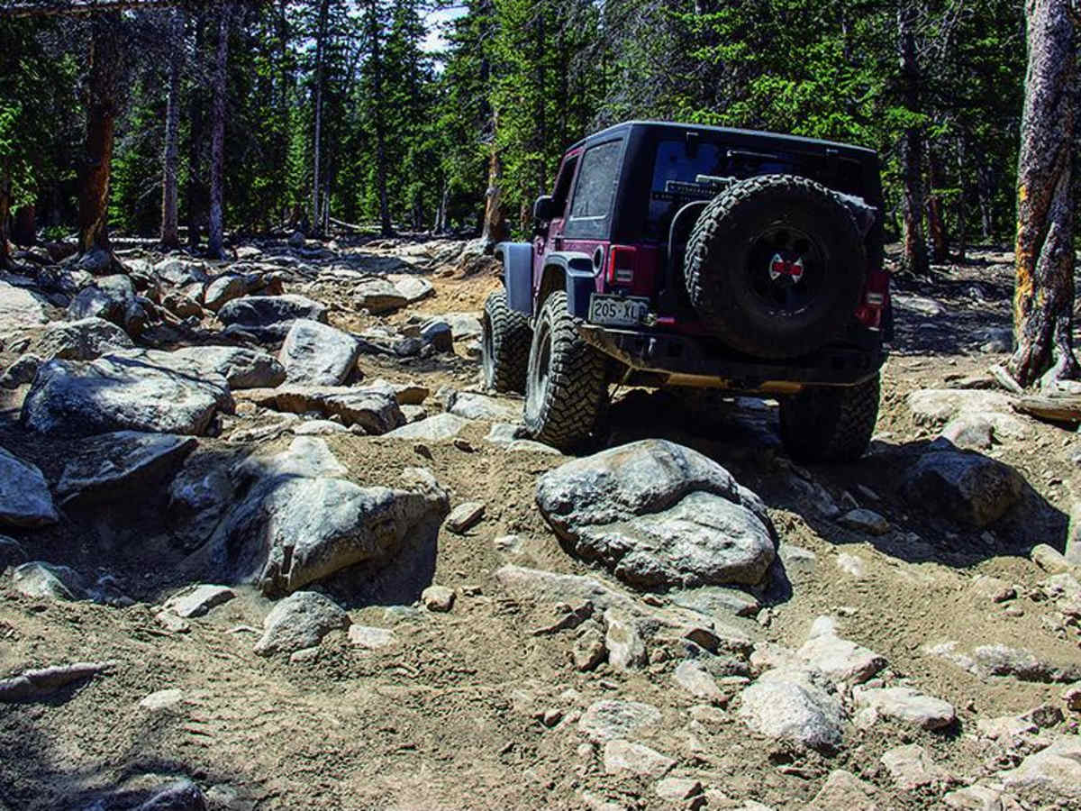 Spring Creek photo 5