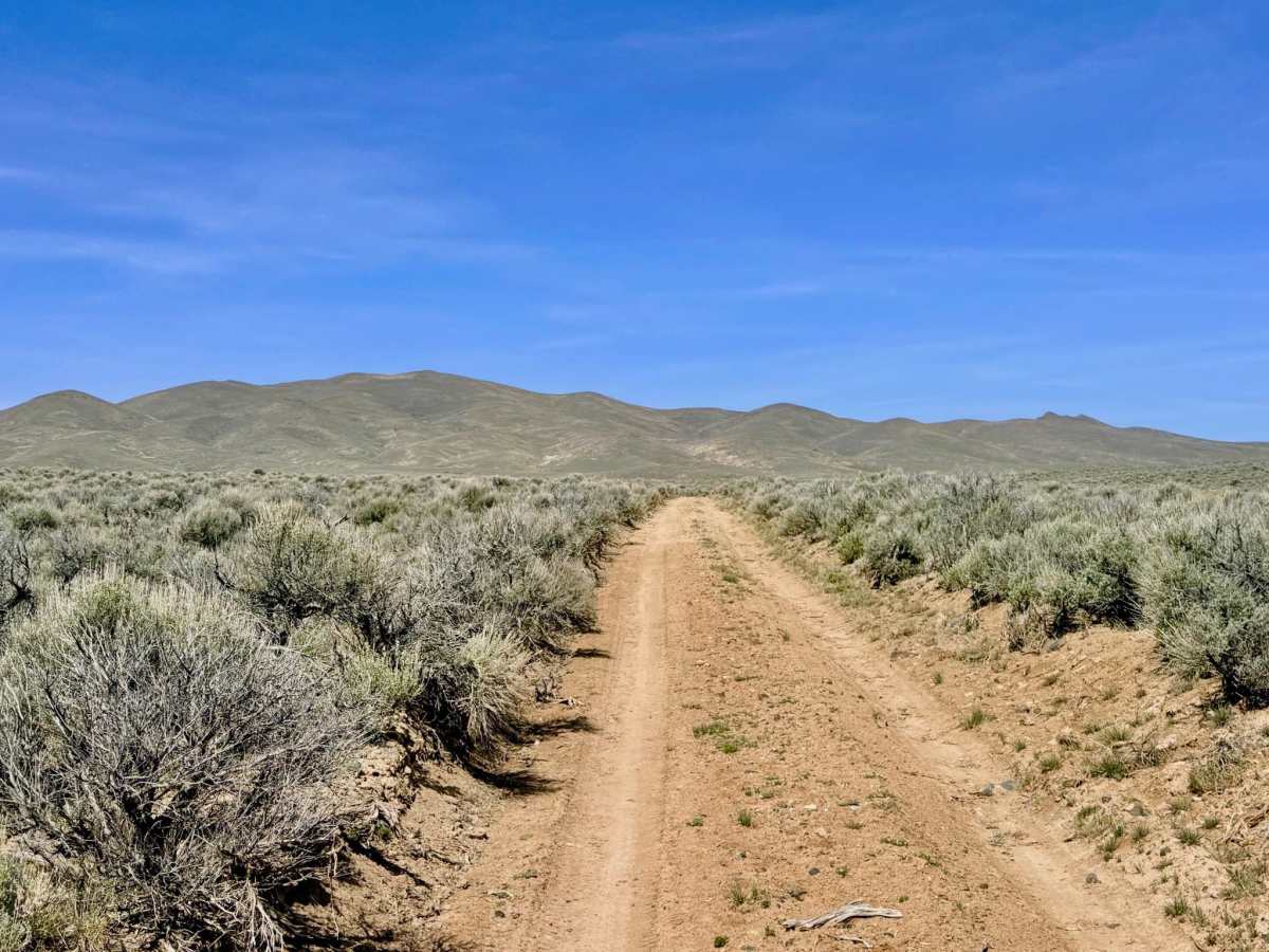Willow Creek Connector/Bypass - FS 43497+98 trail photo