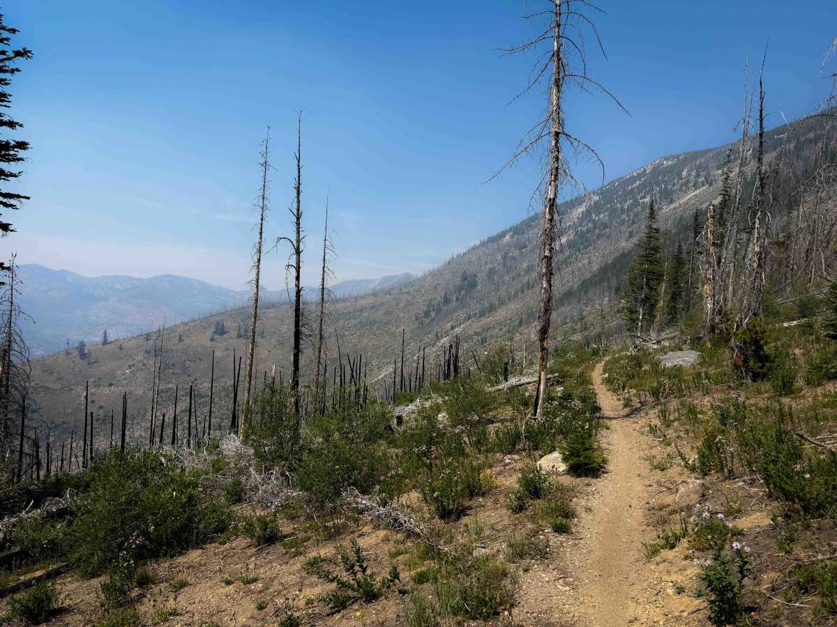 Summit Trail photo 5